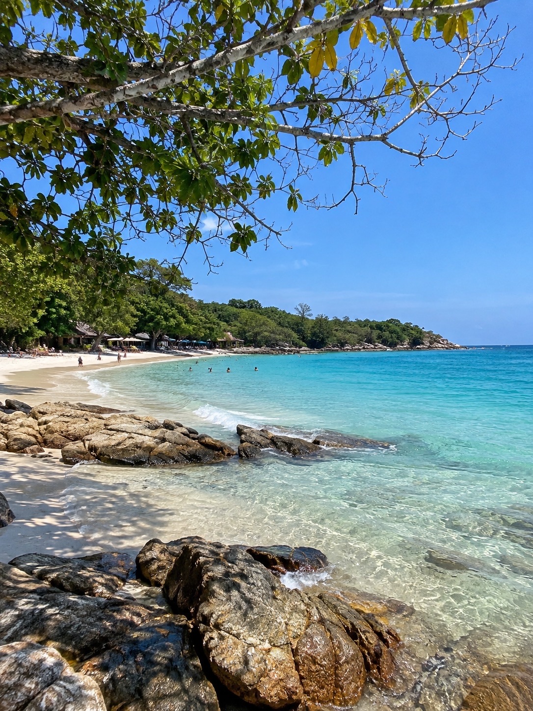 เกาะเสม็ด จ.ระยอง 🌊 ทะเลสวย น้ำใส หาดทรายขาว จุดหมายพักผ่อนที่ไปกี่ครั้งก็ประทับใจ