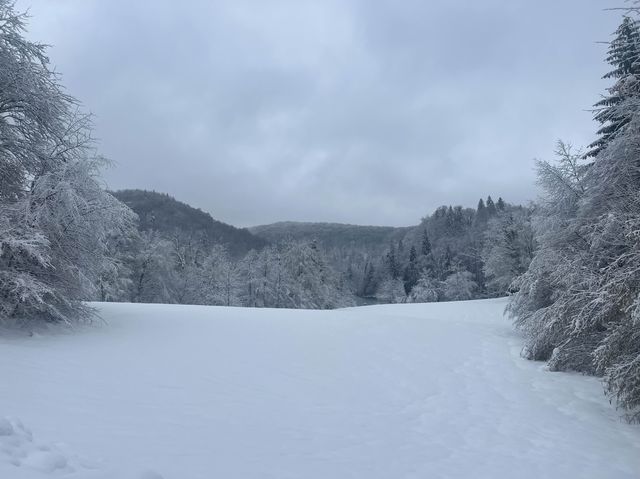 【雪化粧】プリトヴィツェ湖群国立公園