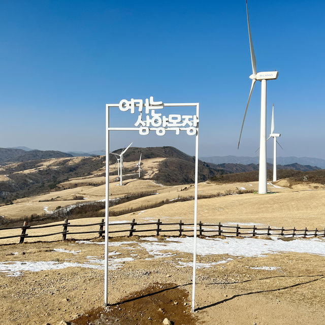 강원도 평창 여행 속이 뻥 뚫리는 힐링! 삼양목장