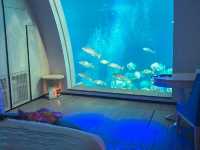 【水族館ホテル⁉︎】贅沢すぎる水族館ビュールームにステイ！