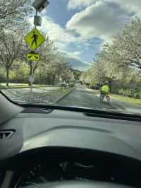 A road to remember. 