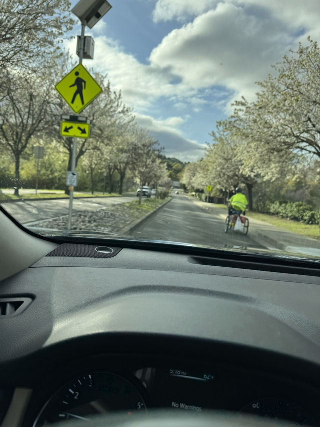 A road to remember. 