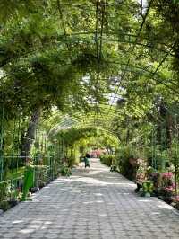 Spring Escape: Dushanbe’s Botanical Garden