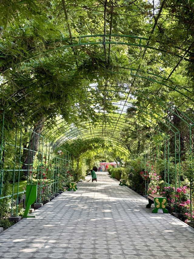 Spring Escape: Dushanbe’s Botanical Garden