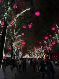 Единственная уцелевшая стена в Китае. Сиань🇨🇳 (西安城墙 )