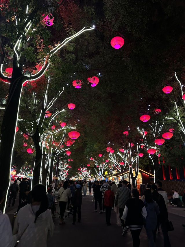 Единственная уцелевшая стена в Китае. Сиань🇨🇳 (西安城墙 )