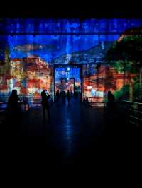 Immersive experience at les Bassins de Lumieres