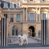 Insider tip in Paris’ center: Palais Royal
