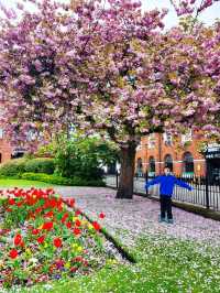 ❤西北部最幸福居住地之一🏠Bolton