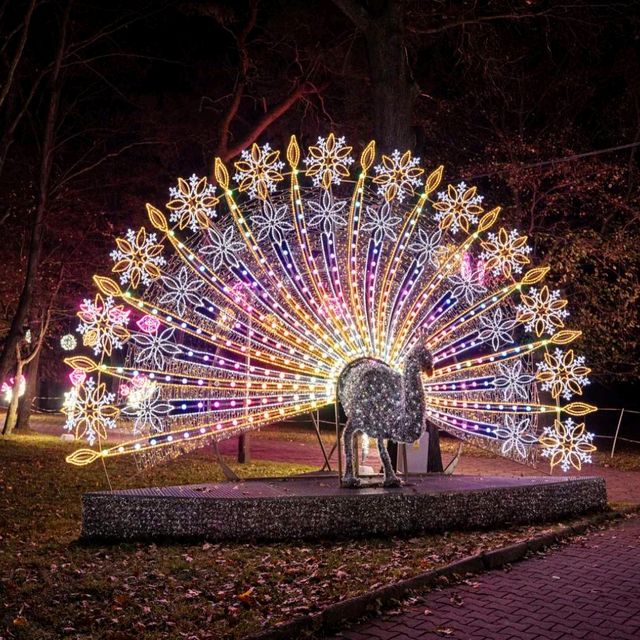 Winter magic - Million Lights Park in Zabrze