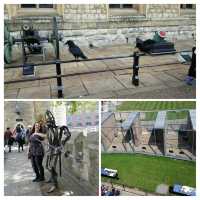 🏰 Explore the Enchanting Tower of London and Uncover Raven Wonders! 🦅
