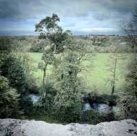 Timeless magic at Blarney castle