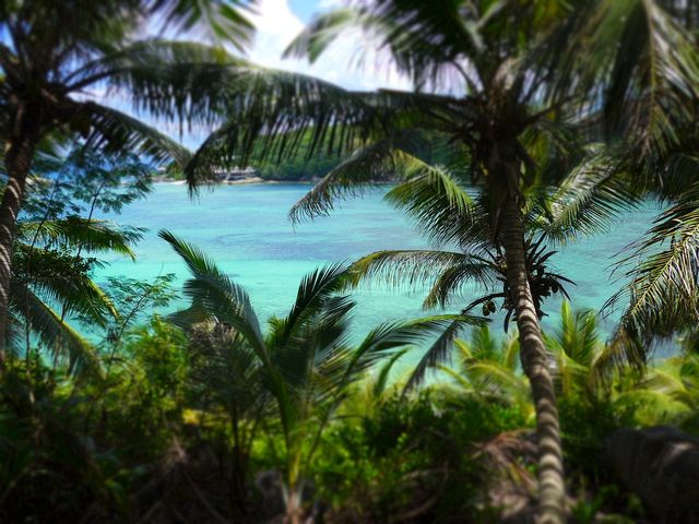 Savoring Serenity in Seychelles 🏝️