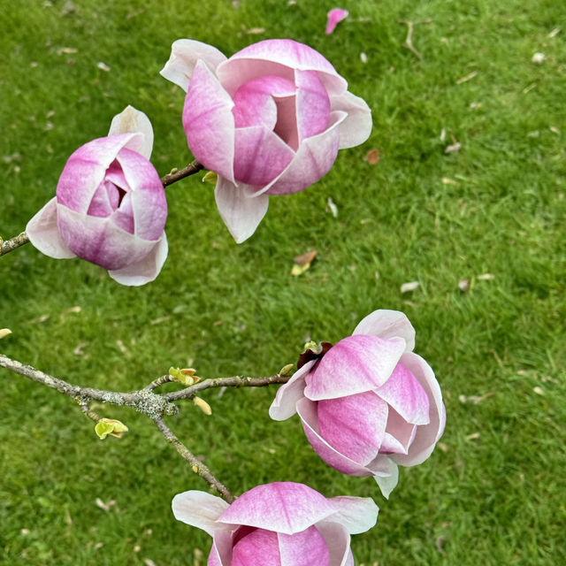 Knebworth House & Gardens