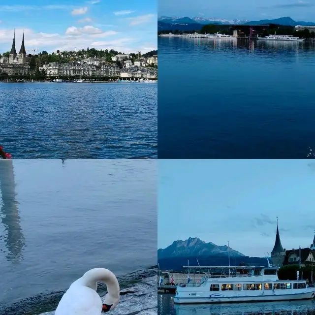 2024.6.17-6.19 瑞士三日之旅🇨🇭盧塞恩|瑞吉山|格林德瓦