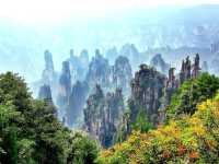 To the avatar mountain 🇨🇳 
