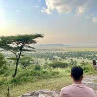 Serengeti Safari: Where Nature Comes Alive 🐘🦒🦓🐆🦏