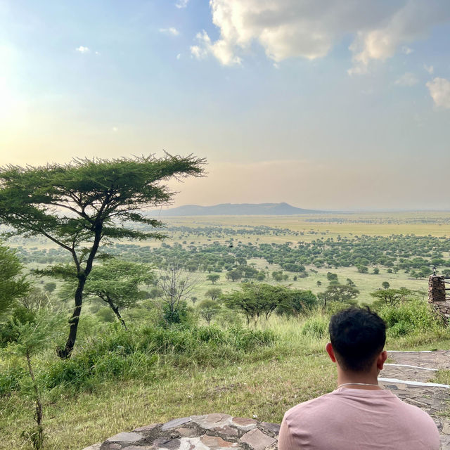 Serengeti Safari: Where Nature Comes Alive 🐘🦒🦓🐆🦏