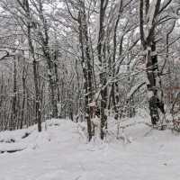 Plitvice full day tour