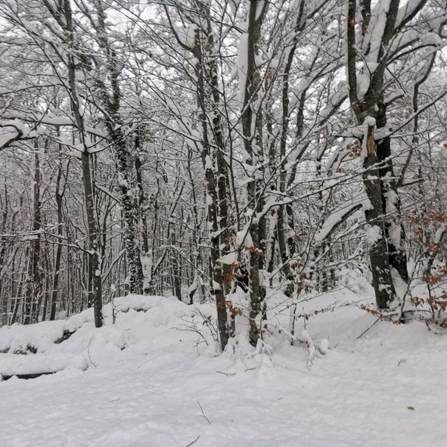 Plitvice full day tour
