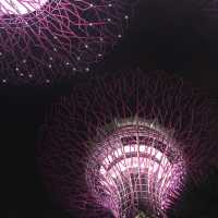 Singapore from the Top: The Beauty of Supertree Observatory