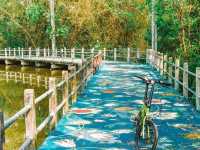 Enjoy the beauty of the "Green Lung of Bangkok": Bang Krachao!