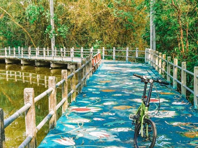 Enjoy the beauty of the "Green Lung of Bangkok": Bang Krachao!