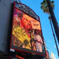 Stroll Among the Stars: The Walk of Fame in LA! ⭐️🎬
