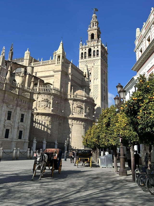 Seville Old Town