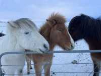 Unforgettable 3-Day Adventure: Exploring Keflavik & the Golden Circle