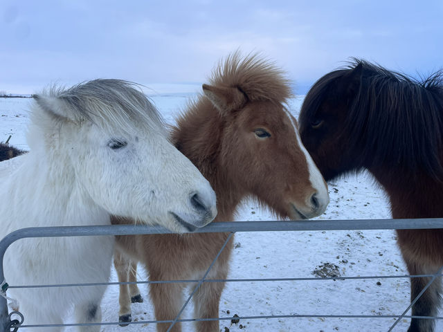 Unforgettable 3-Day Adventure: Exploring Keflavik & the Golden Circle