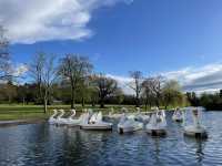 Birmingham in Bloom: A Lakeside, Parkside, and Campus Day Out