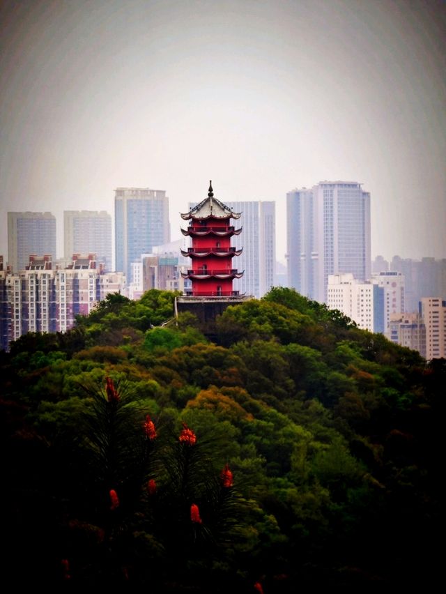 Wuxi Day Trip: Huishan Ancient Town & Nanchang Street