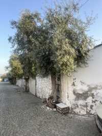 Ruins & Wonder: The ancient side of Turkey