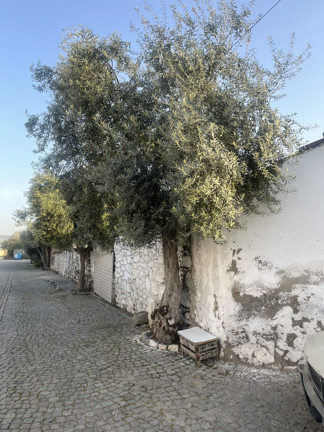 Ruins & Wonder: The ancient side of Turkey