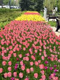 Spring Escape at KBTU Park, Almaty
