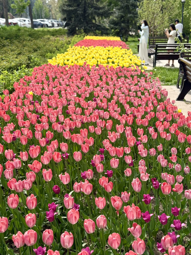 Spring Escape at KBTU Park, Almaty