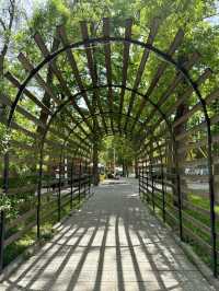 Spring Strolls in Panfilov Park, Bishkek – Cute Park!