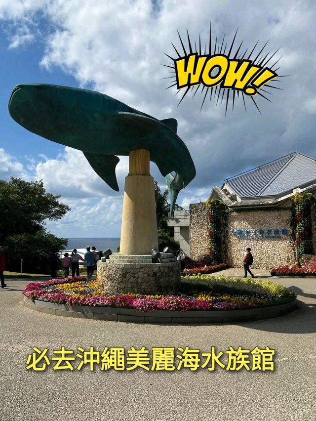 必去沖繩美麗海水族館