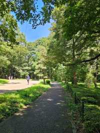 🗼 Where to Stay in Tokyo (First-Time Visitors)