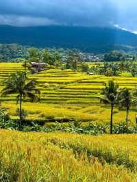 Jatiluwih Rice Terraces, Bali: A Peaceful Tapestry of Tradition and Nature