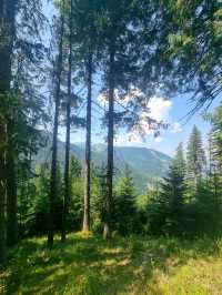 🏞️ Hiking to Horses' Waterfall (Cascada Cailor), Maramureș, Romania