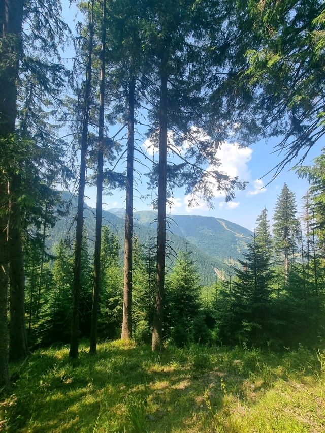 🏞️ Hiking to Horses' Waterfall (Cascada Cailor), Maramureș, Romania