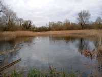 Magor Marsh and the Caldicot Levels 