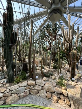 Bahkan di Eropa, ada taman rumah kaca kaktus Tropicarium