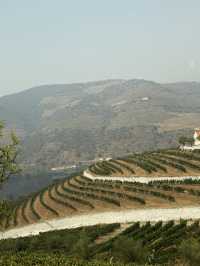 🍇Stunning Port Wine Tasting Trip to Douro Valley🍷