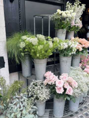 ✨ London’s Timeless Charms: From Blooms to Busts 🌸🏛️