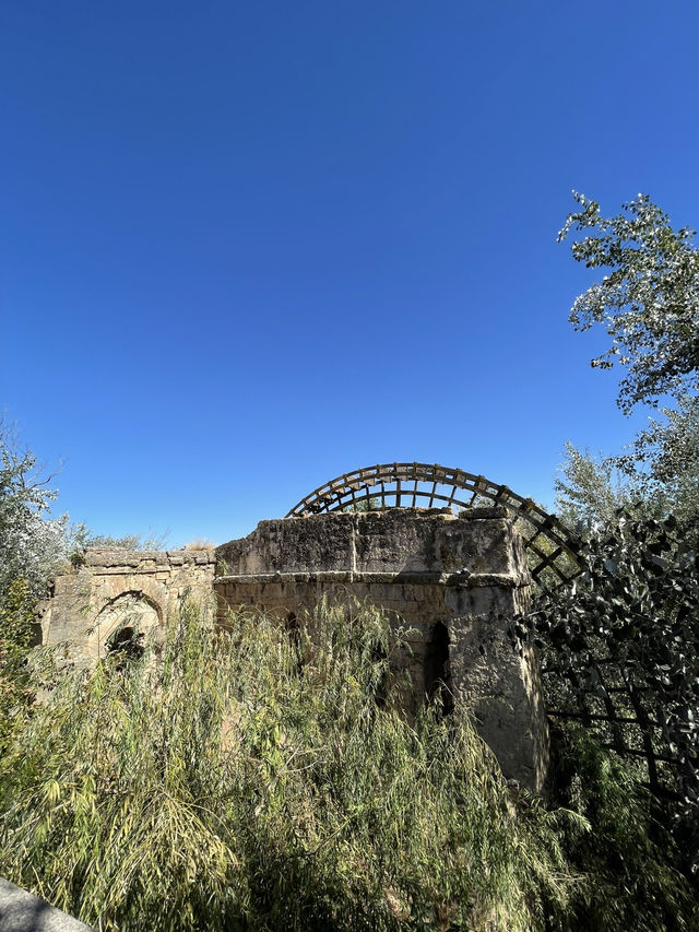 Córdoba: History, Culture & Andalusian Charm 🏛️🌿✨