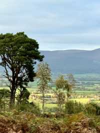 Exploring Clonmel on Foot