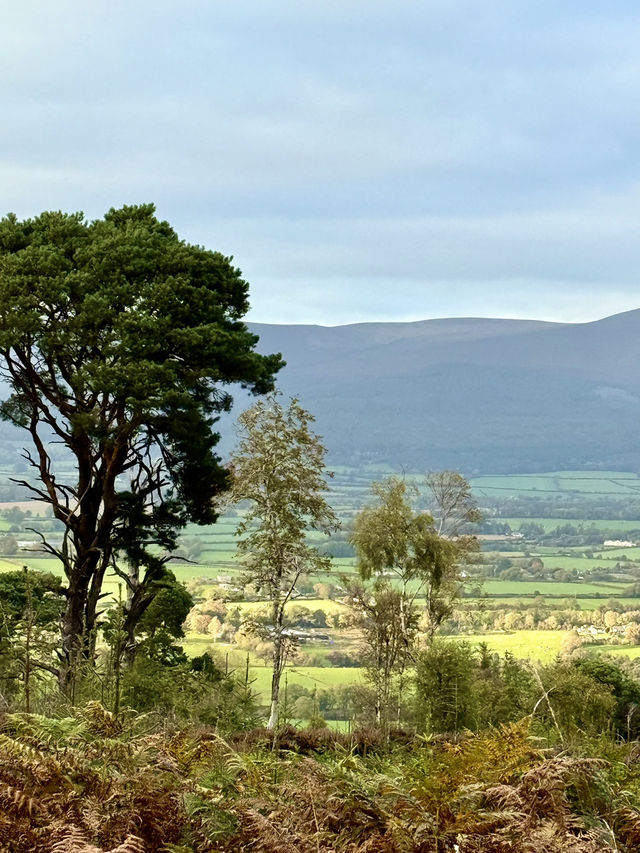 Exploring Clonmel on Foot